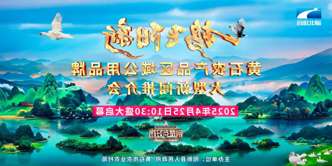 PG电子试玩平台