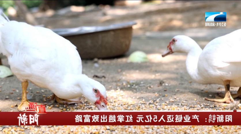 PG电子试玩平台