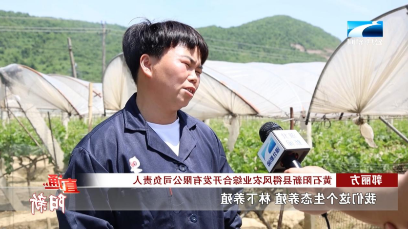 PG电子试玩平台