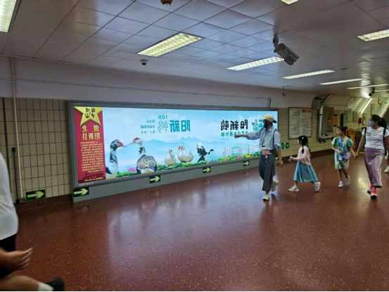 PG电子试玩平台